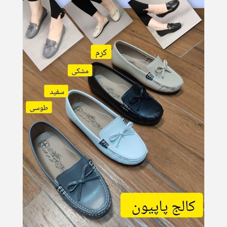 کالج طبی پاپیون دار